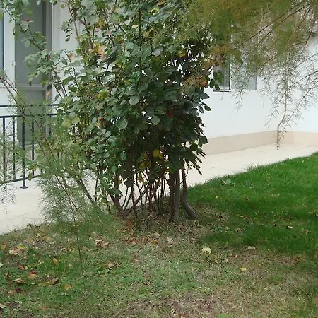 Azuro Apartament Słoneczny Brzeg